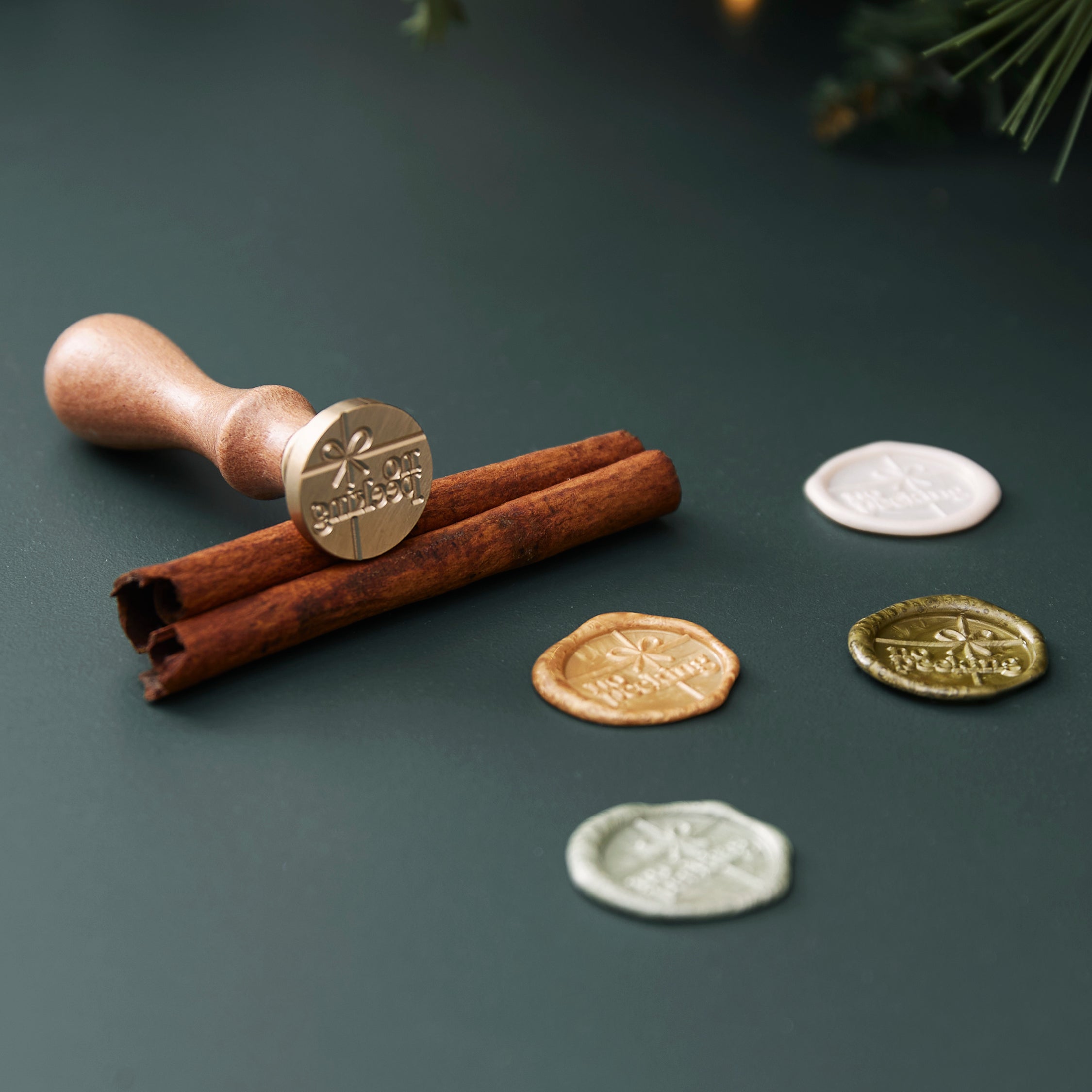 Wax Seal Stamp - No Peeking