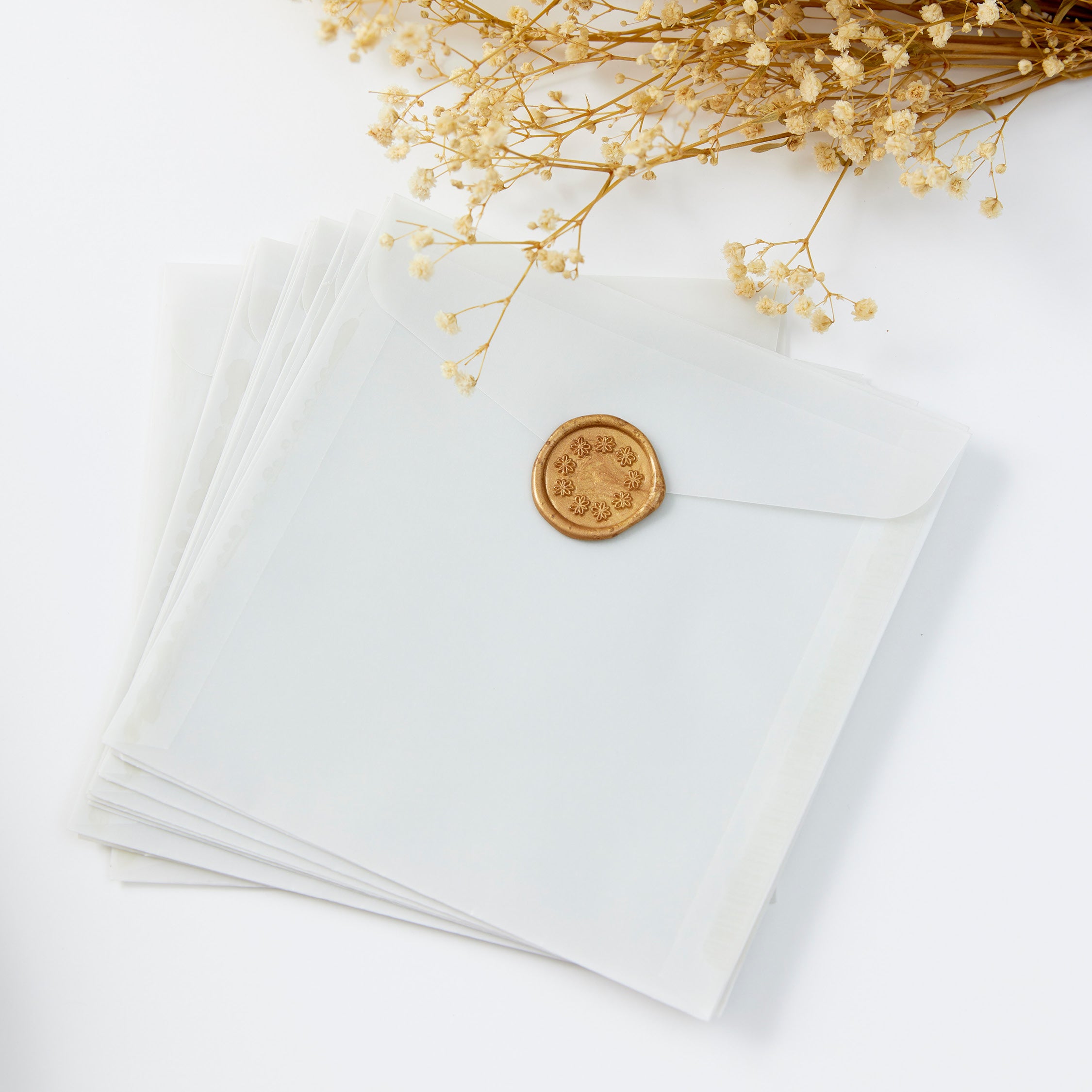 Vellum Envelopes - Square