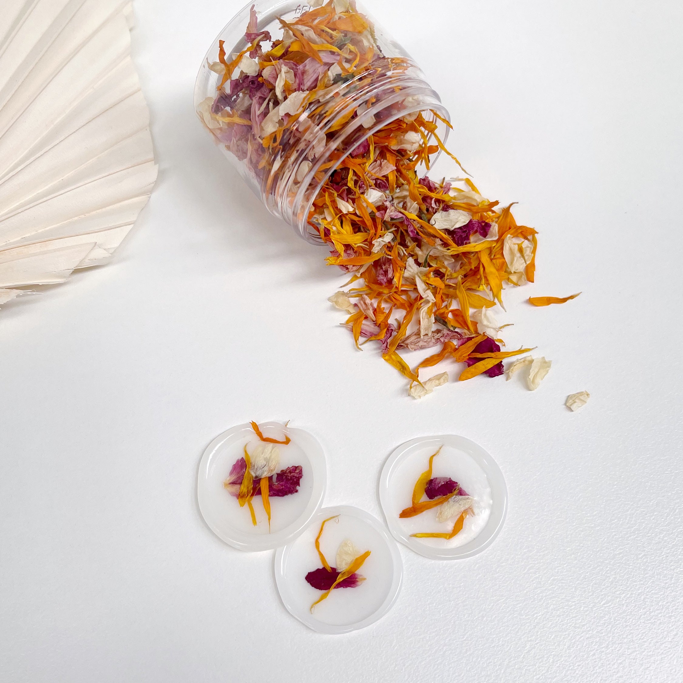 Dried Petal Jar - Magnolia