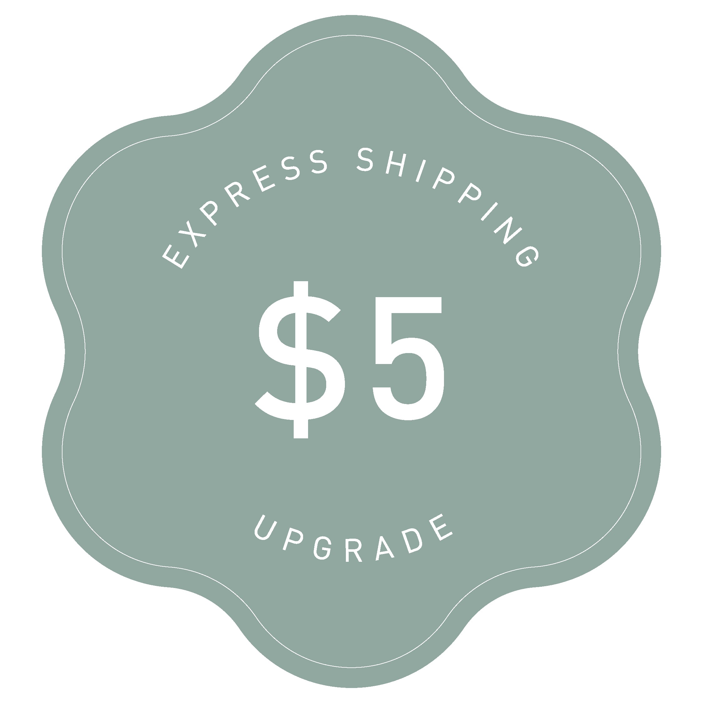 Shipping - Express Upgrade