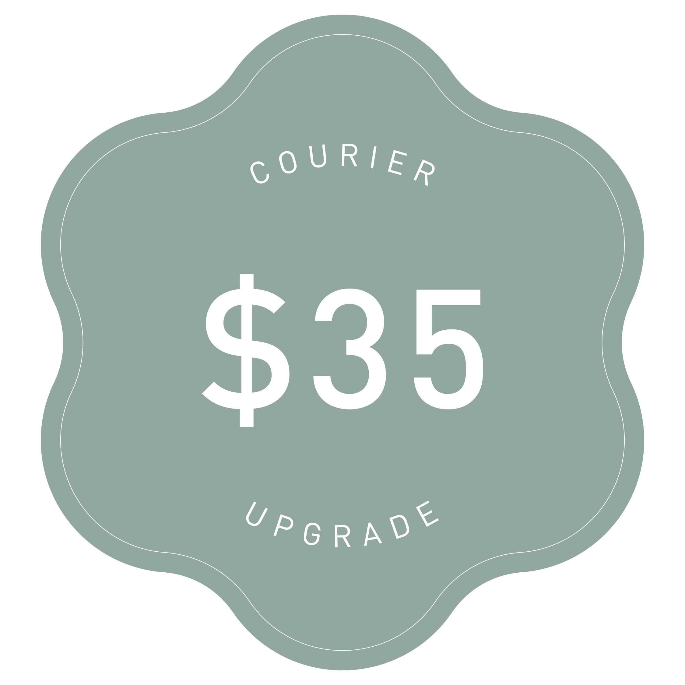 Shipping - Overnight Courier