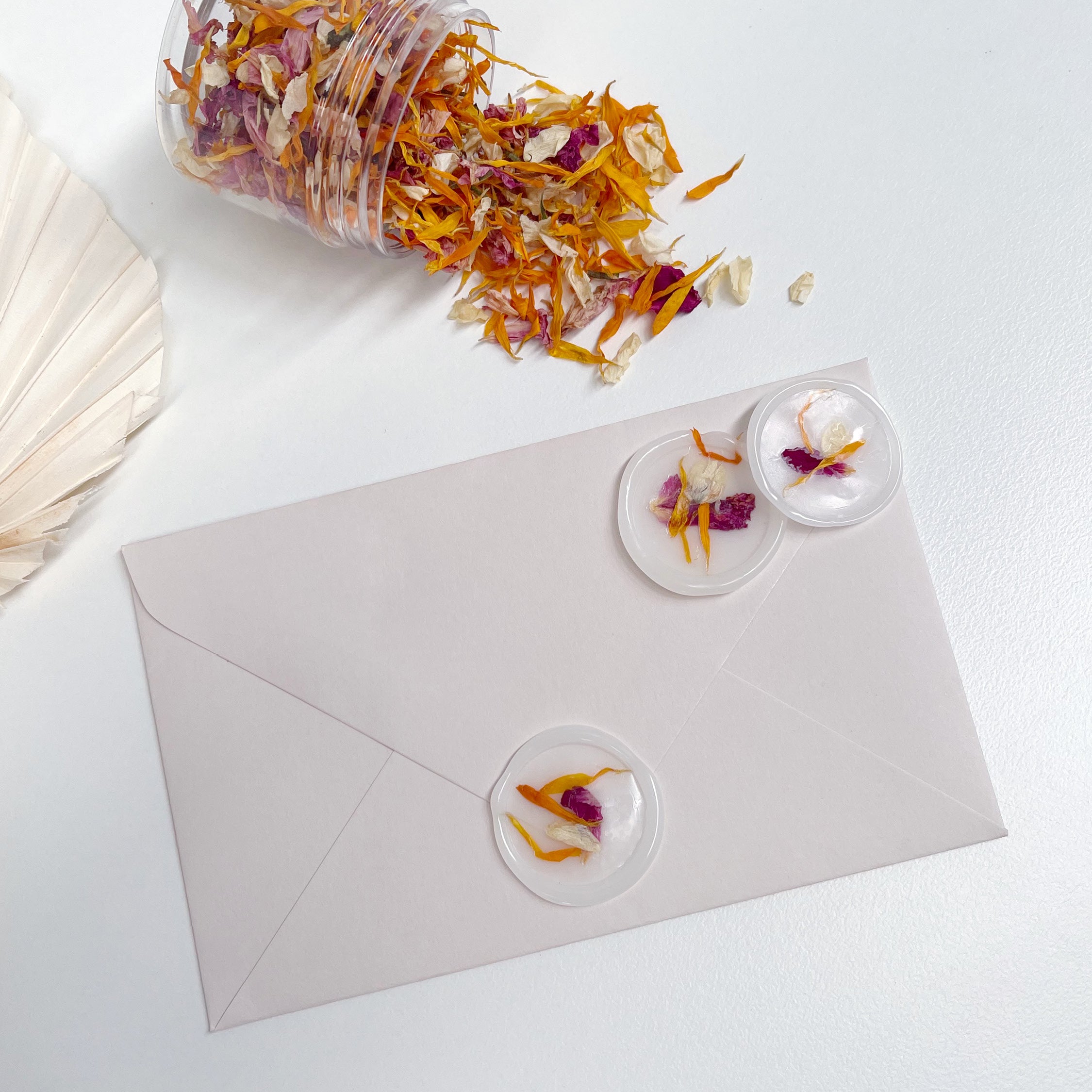 Dried Petal Jar - Magnolia