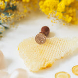 Wax Seal Stamp - Honey Bee